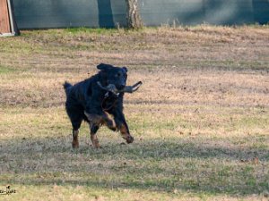 Workshop mit Stephanie Ollmann 2019