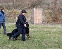 Workshop_Ollmann_Maerz_2020_DSC_5296