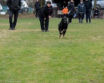 Workshop_Ollmann_Maerz_2020_DSC_5553