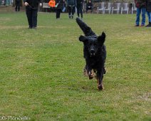 Workshop_Ollmann_Maerz_2020_DSC_5554