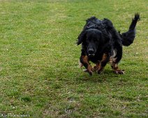 Workshop_Ollmann_Maerz_2020_DSC_5555