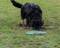 Workshop_Ollmann_Maerz_2020_DSC_5556