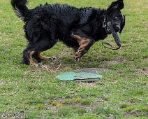 Workshop_Ollmann_Maerz_2020_DSC_5557