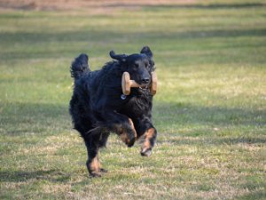 Workshop mit Stephanie Ollmann 2022
