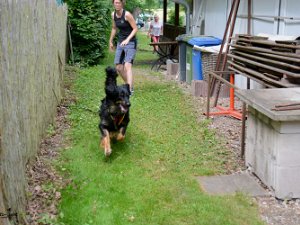 Schutzdienstwochenende Babenhausen 2021