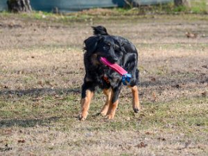 Workshop mit Stephanie Ollmann 2019