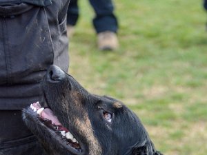 Workshop mit Stephanie Ollmann 2020