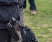 Workshop_Ollmann_Maerz_2020_DSC_5260