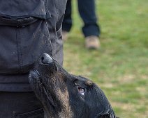 Workshop_Ollmann_Maerz_2020_DSC_5261