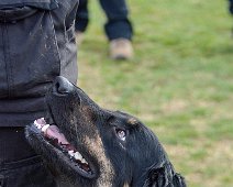 Workshop_Ollmann_Maerz_2020_DSC_5262