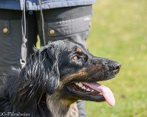 Workshop_Ollmann_Maerz_2020_DSC_5269