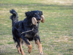 Workshop mit Stephanie Ollmann 2022