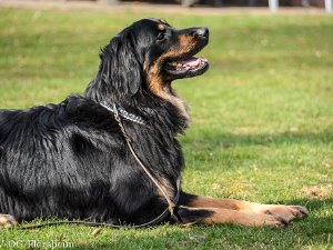 Stephanie Ollmann Workshop2020