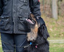 Workshop_Ollmann_Maerz_2020_DSC_5205