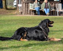 Workshop_Ollmann_Maerz_2020_DSC_5215