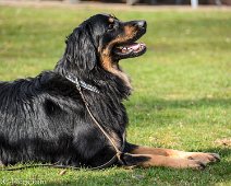 Workshop_Ollmann_Maerz_2020_DSC_5218