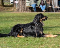 Workshop_Ollmann_Maerz_2020_DSC_5219