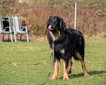 Workshop_Ollmann_Maerz_2020_DSC_5221