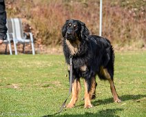 Workshop_Ollmann_Maerz_2020_DSC_5222