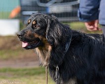 Workshop_Ollmann_Maerz_2020_DSC_5223