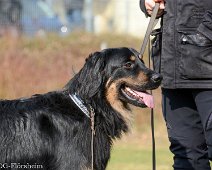 Workshop_Ollmann_Maerz_2020_DSC_5228