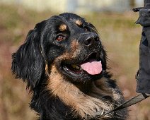 Workshop_Ollmann_Maerz_2020_DSC_5230