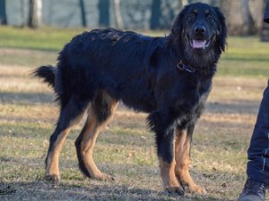 Workshop mit Stephanie Ollmann 2019