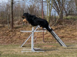 Workshop mit Stephanie Ollmann 2022