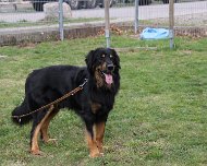 E-Wurf_Treffen_10_03_2024_FD1A7250