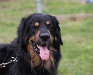 E-Wurf_Treffen_10_03_2024_FD1A7251