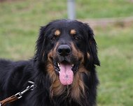 E-Wurf_Treffen_10_03_2024_FD1A7252