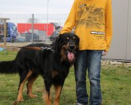 E-Wurf_Treffen_10_03_2024_FD1A7254