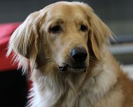 E-Wurf_Treffen_10_03_2024_FD1A7265 Elio Doro