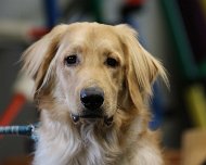 E-Wurf_Treffen_10_03_2024_FD1A7276