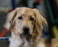 E-Wurf_Treffen_10_03_2024_FD1A7277