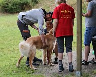 NZB_E_Wurf_Juni_2024_FD1A8144