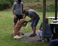 NZB_E_Wurf_Juni_2024_FD1A8146