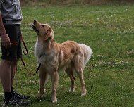 NZB_E_Wurf_Juni_2024_FD1A8149