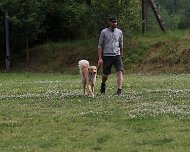 NZB_E_Wurf_Juni_2024_FD1A8152