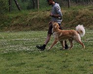 NZB_E_Wurf_Juni_2024_FD1A8154