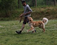 NZB_E_Wurf_Juni_2024_FD1A8156