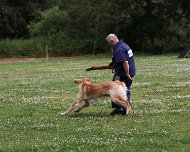 NZB_E_Wurf_Juni_2024_FD1A8160