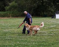 NZB_E_Wurf_Juni_2024_FD1A8162