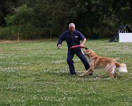 NZB_E_Wurf_Juni_2024_FD1A8165