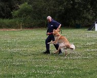 NZB_E_Wurf_Juni_2024_FD1A8166