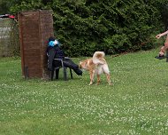 NZB_E_Wurf_Juni_2024_FD1A8171