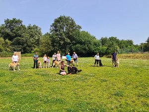 NZB Babenhausen Juni 2024